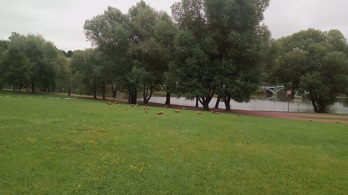 Огари в парке Царицыно
