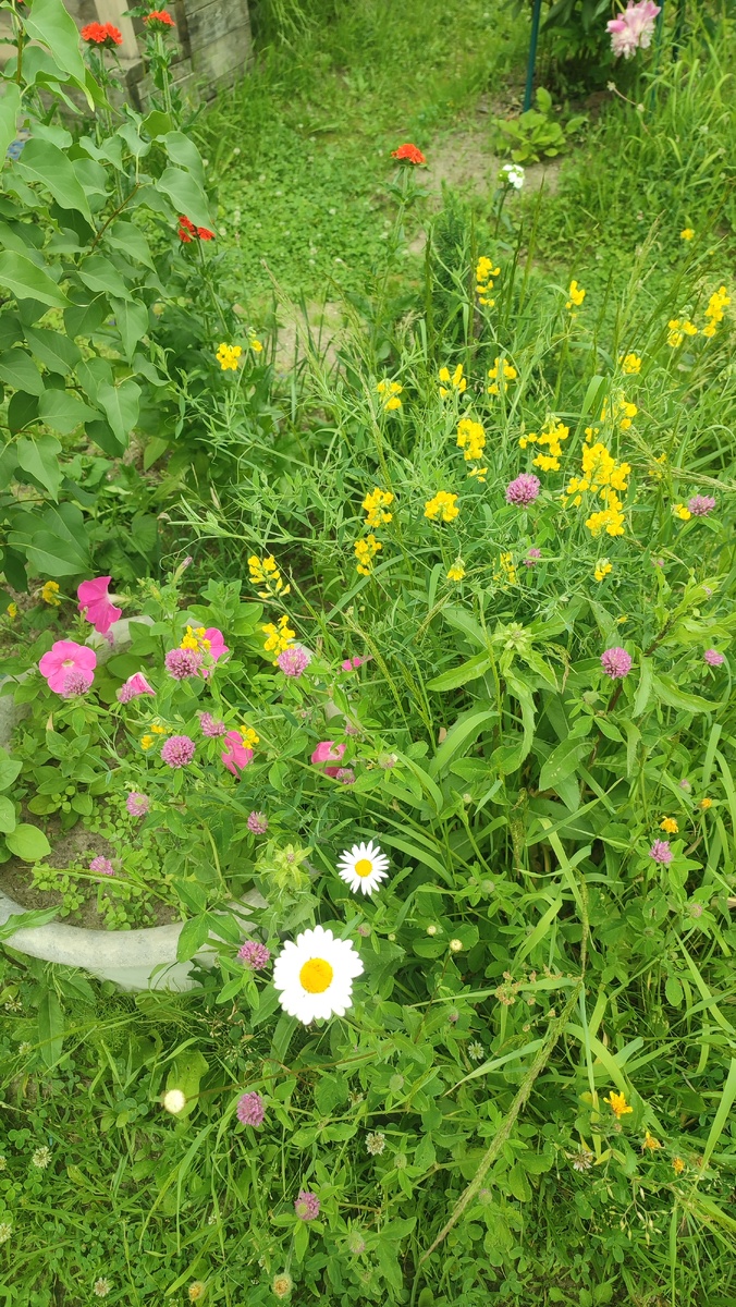 Красота. Фото автора. 