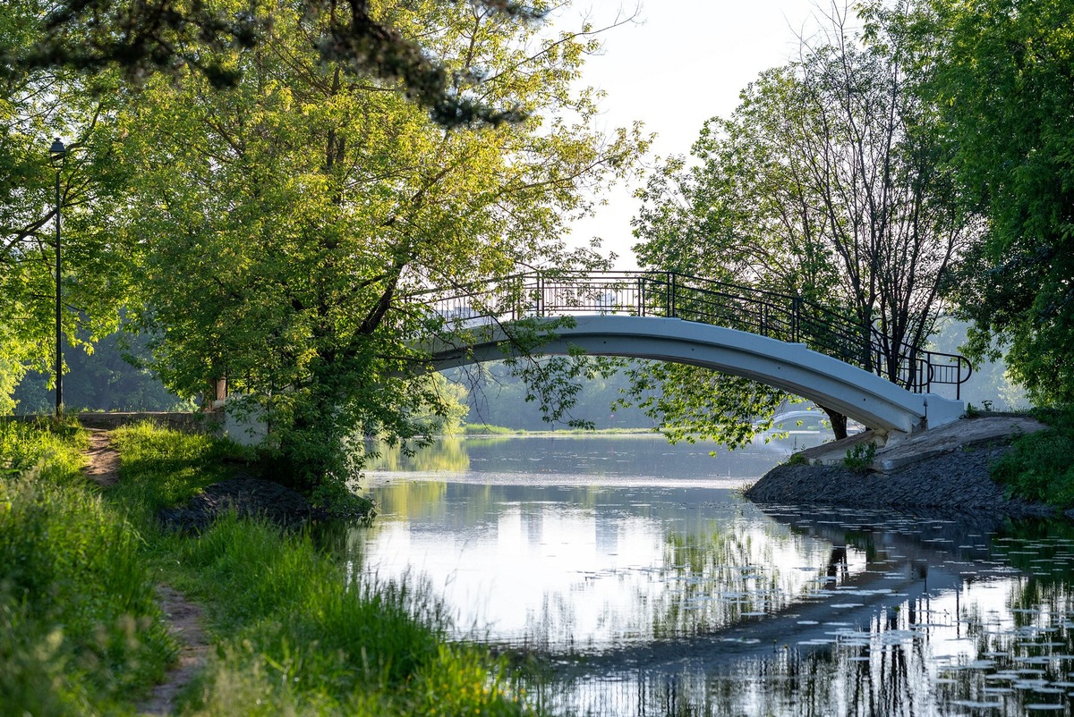 Мы мечтали жить в подобном месте — на природе, рядом с водой 