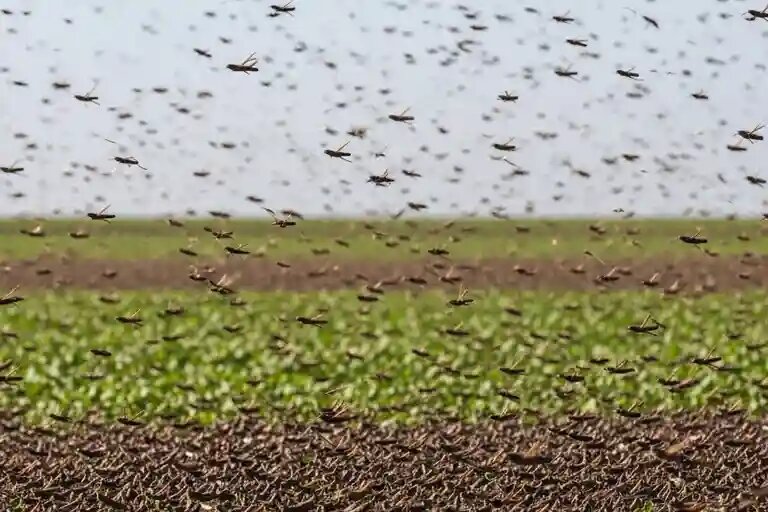    Иллюстративное фото. aifstan.info