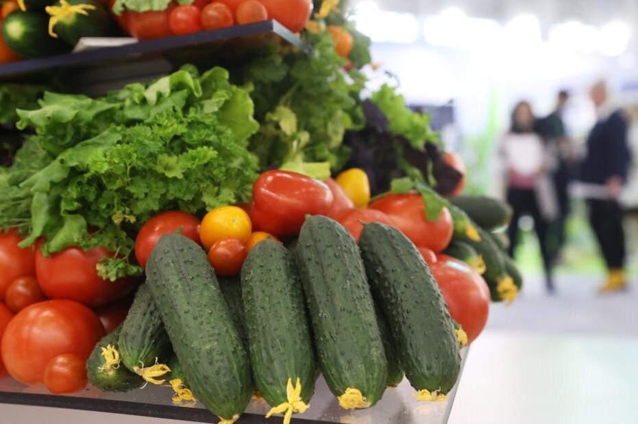    Сергей Булкин/NEWS.ru