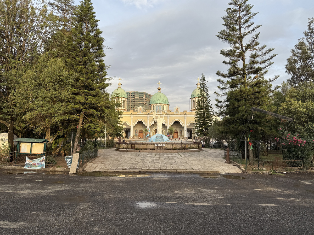 Собор Спасителя Мира (Medhane Alem Cathedral). По краям от входа заметила две араукарии - древнейший вид деревьев на планете, современник динозавров.