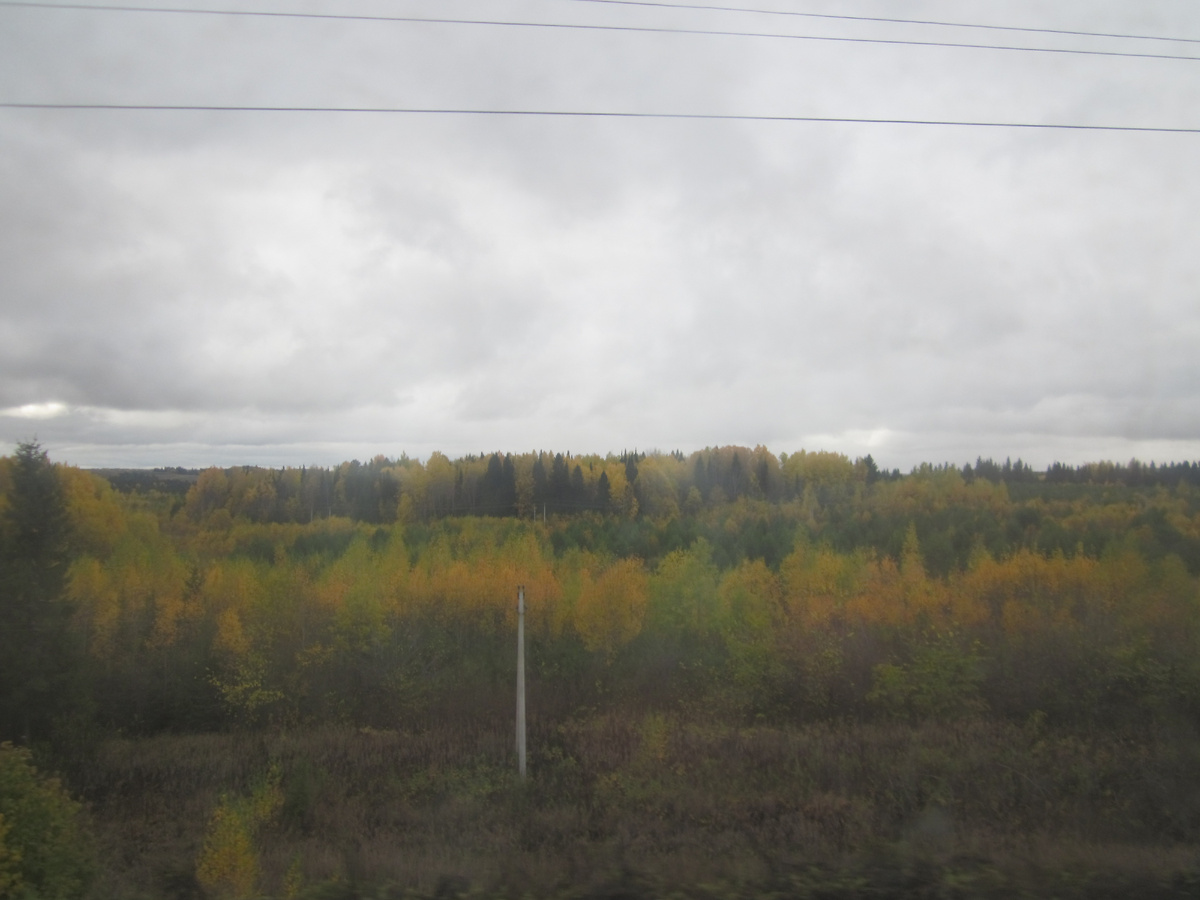 Пермский край из окна поезда, мое фото