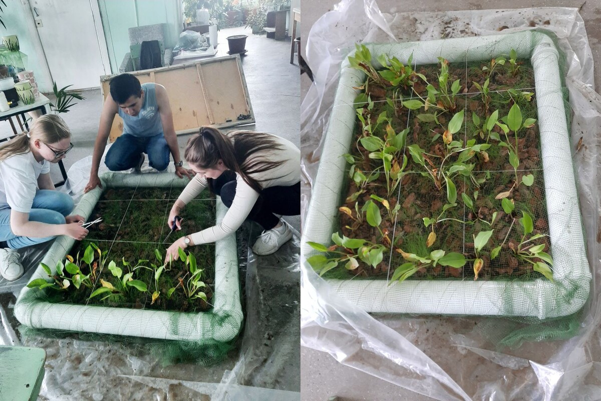 Подготовка плато