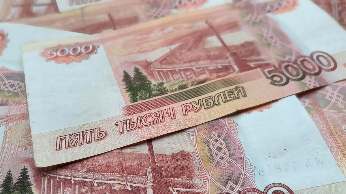    Фото: Maksim Konstantinov/globallookpress.com