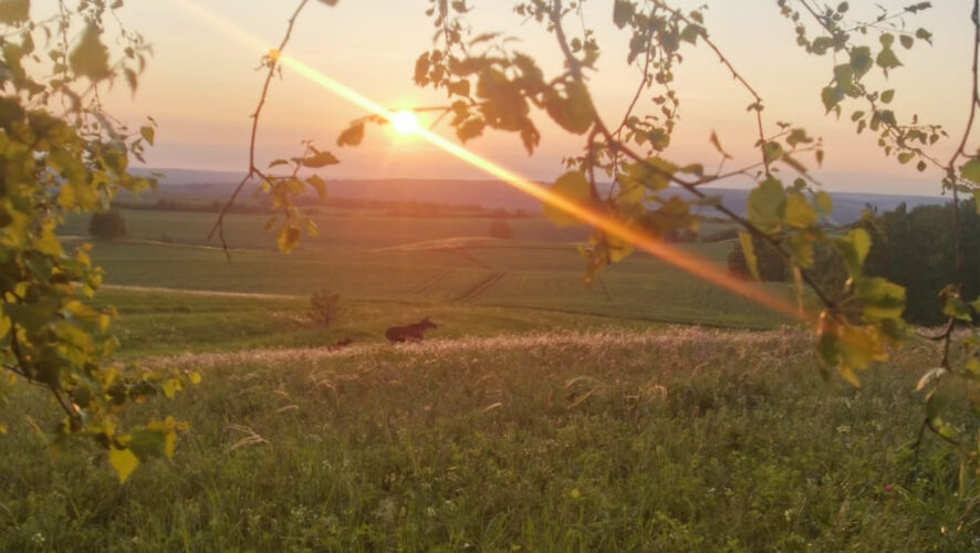    Фото: ojm.tatarstan.ru