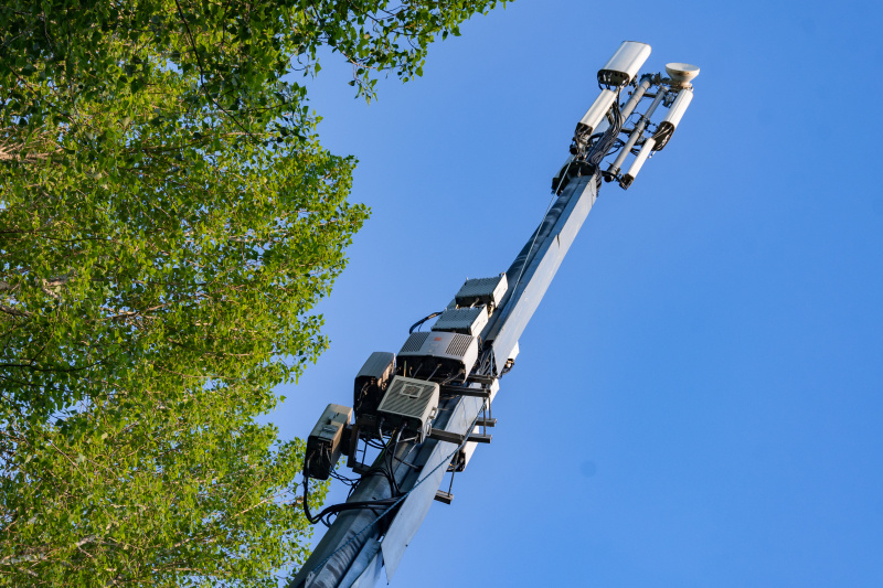    Фото: Oleg Spiridonov/Business Online/Globallookpress