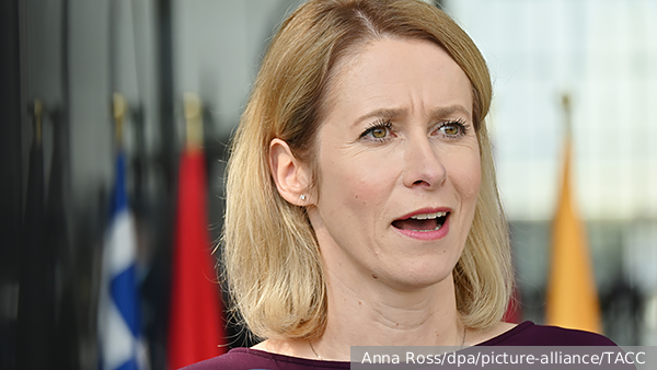     Фото: Anna Ross/dpa/picture-alliance/ТАСС   
 Текст: Анастасия Куликова