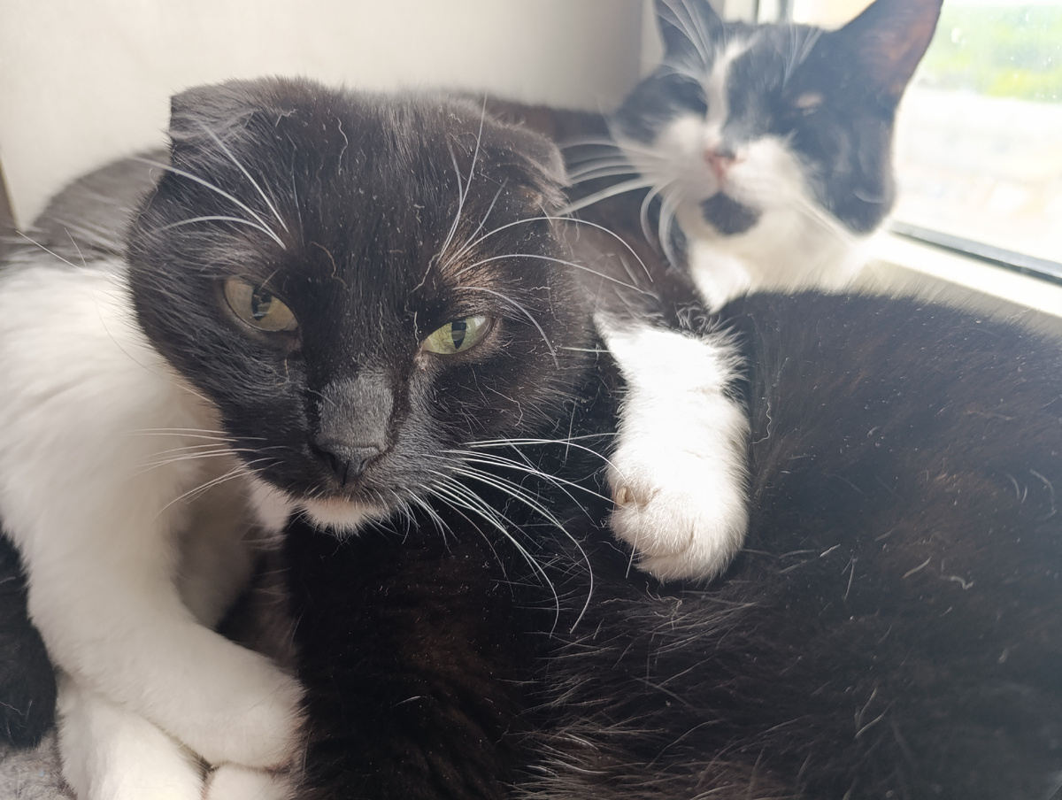 Голубой уголок 