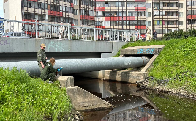    © Администрация Ленинградской области