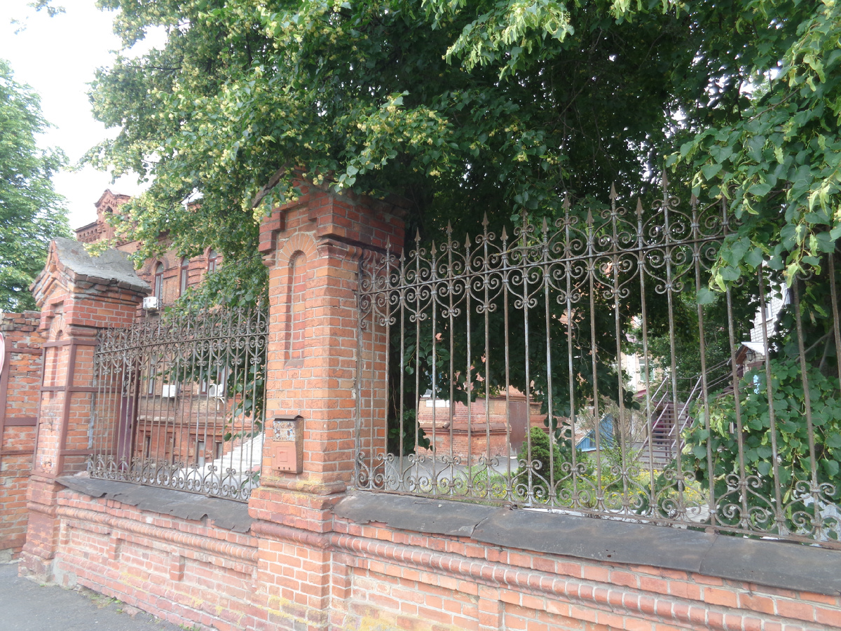 Фото автора. Июль 2025 год.