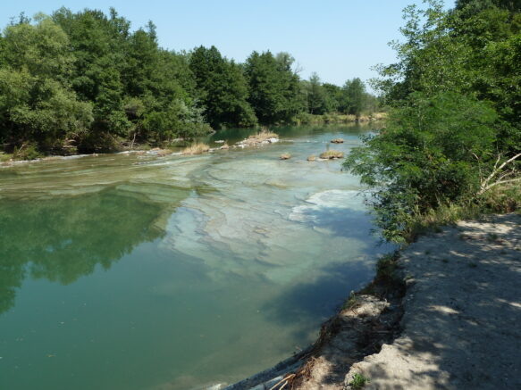    река Кубань / СафроновАВ, wikipedia.org