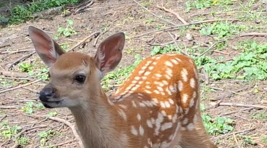    Фото: «Саратовская область»