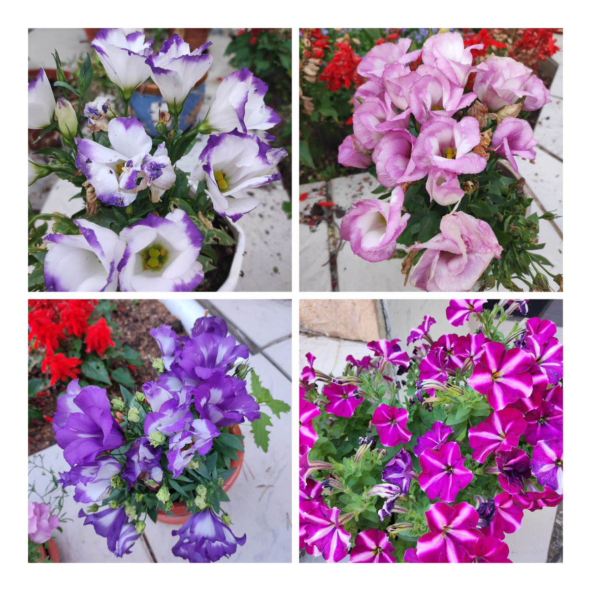 Фото сделано 17 июня, 2024 г