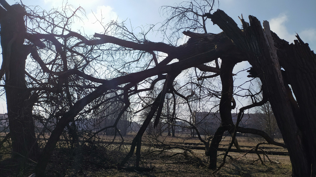    Фото: Victor Lisitsyn/Globallookpress