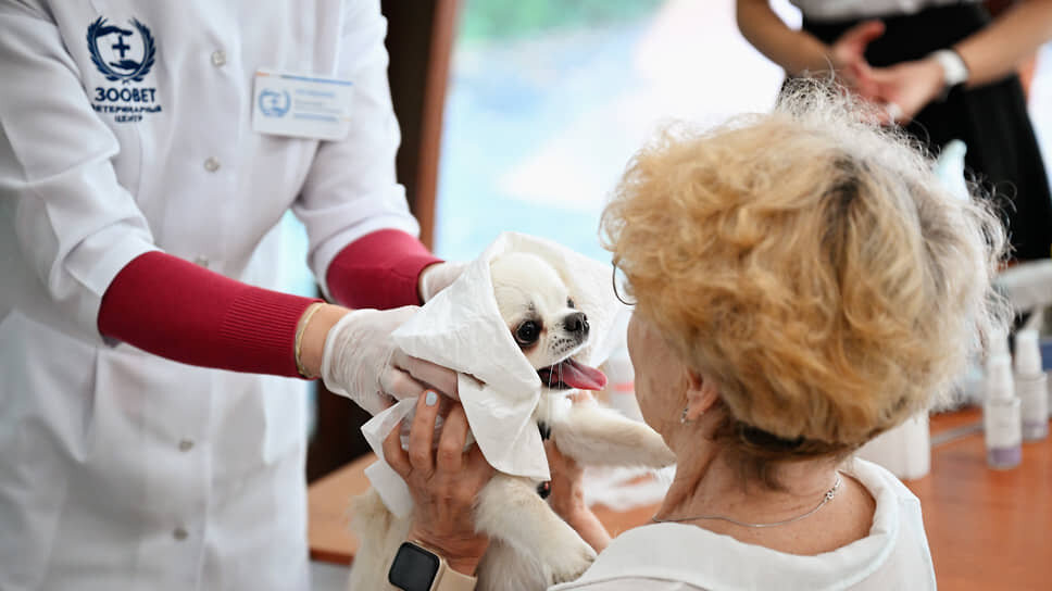 Фото: Иван Водопьянов / Коммерсантъ
