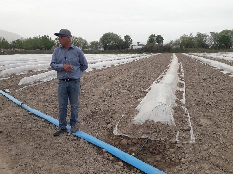    Когда гектар может стоить как квартира.   
Фото Asia-Plus