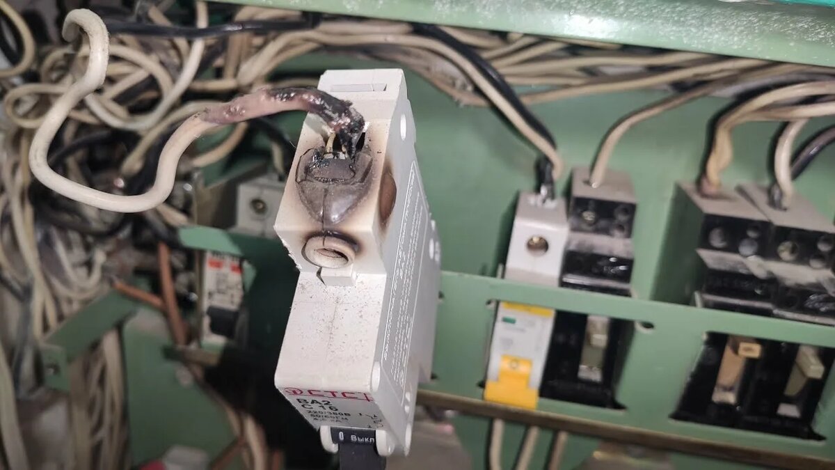 Источник: imerica.ru