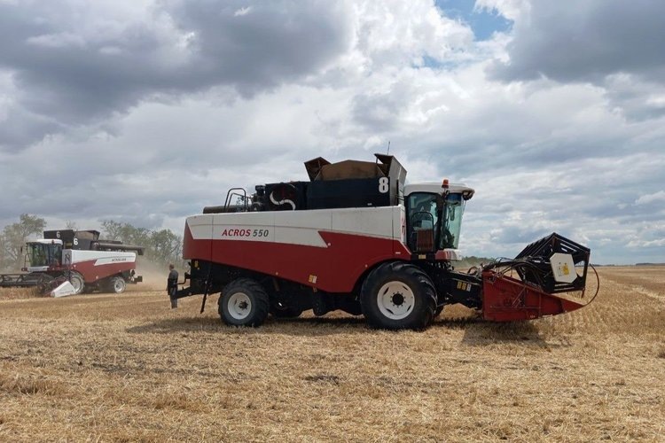    Фото: Правительство Ростовской области