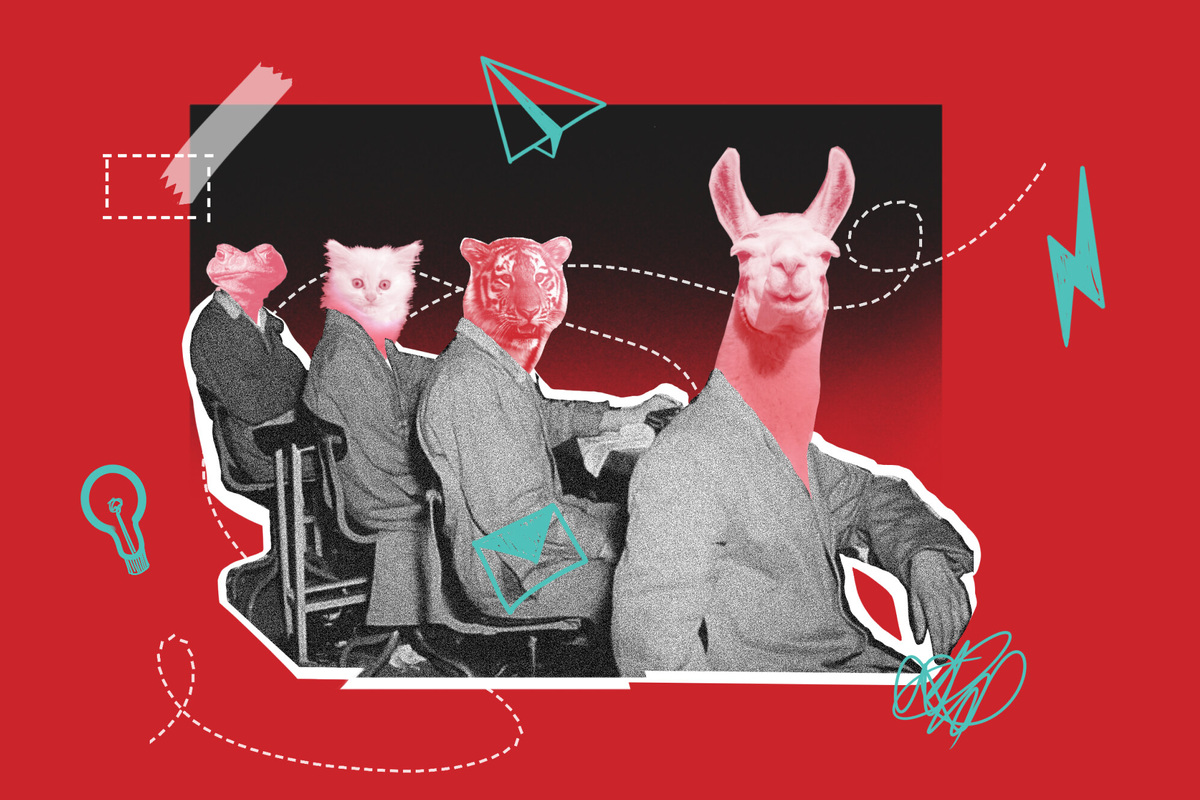     Офисные иерархии: как работать с зумерами, бумерами и миллениалами