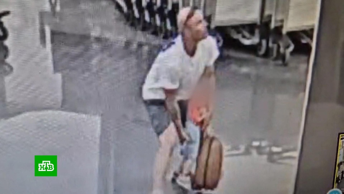    Ребенок получил перелом черепа после нападения неадеквата в Шереметьево