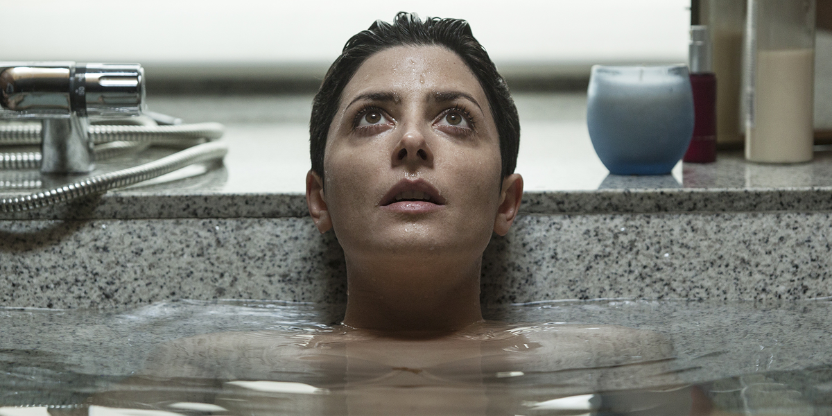 Фото из свободных источников.