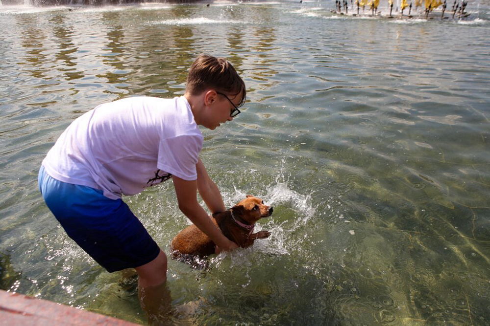    ©Агентство городских новостей "Москва"