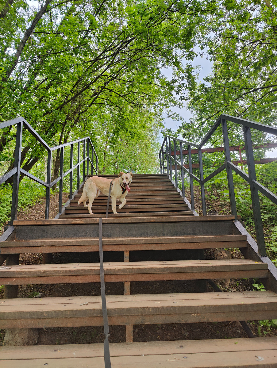 Попытка стать в томную позу