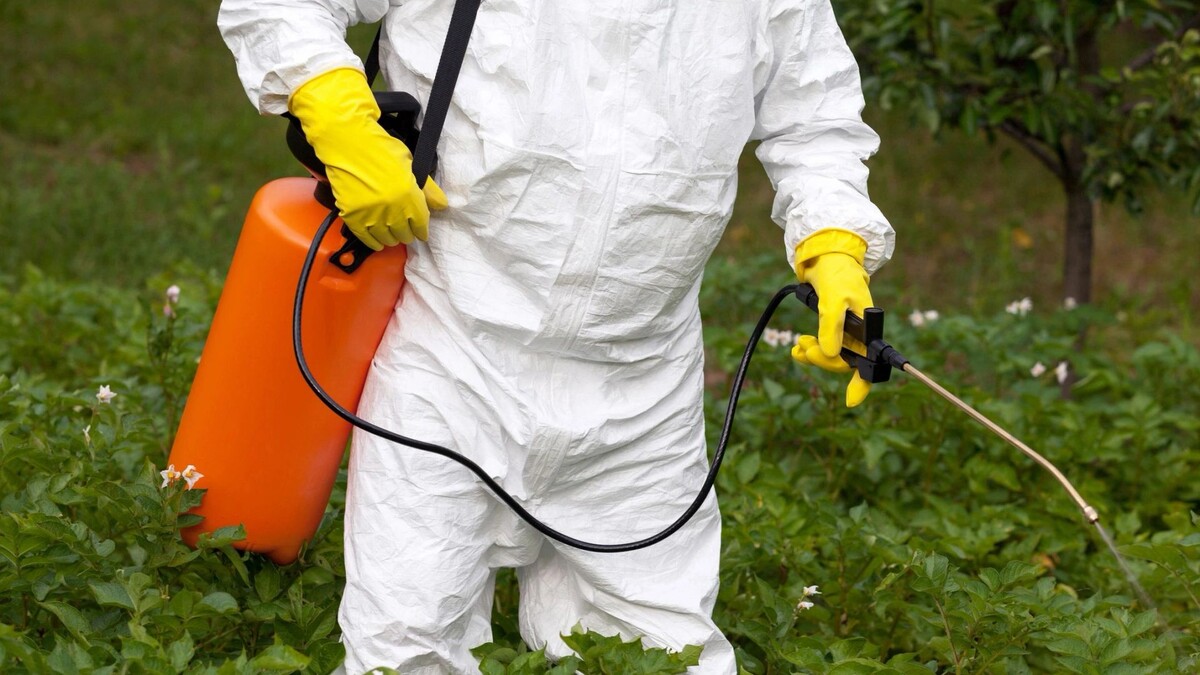    Фото: wellphoto/Shutterstock/Fotodom