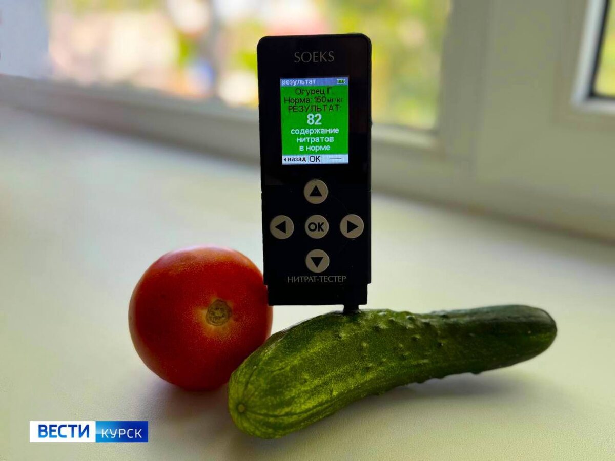    Огурцы и помидоры — сколько в них нитратов?