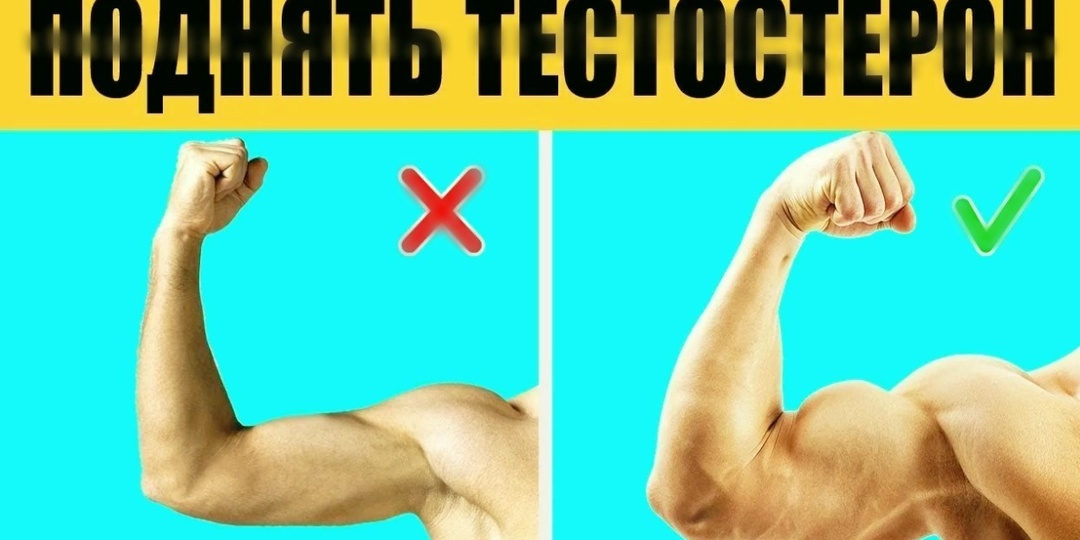 7 сильных способа поднять тестостерон у мужчин — звучит смешно, но работает