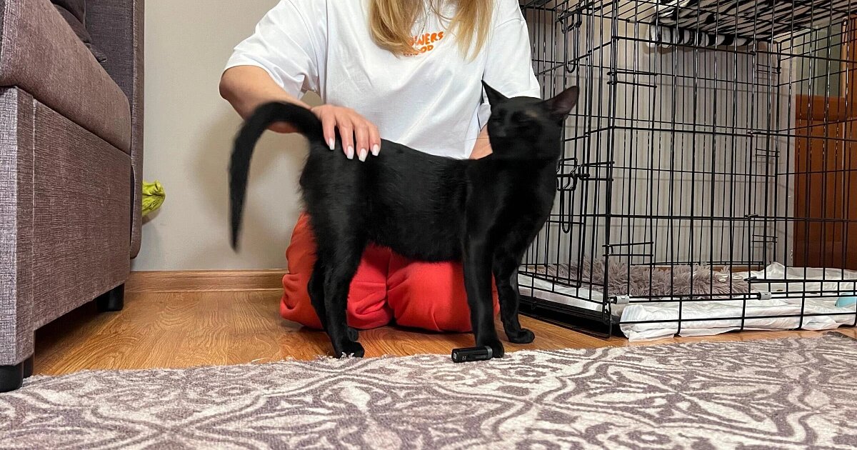 Фото: Новороссийский рабочий