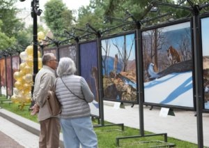    Фото: Центр «Амурский тигр»