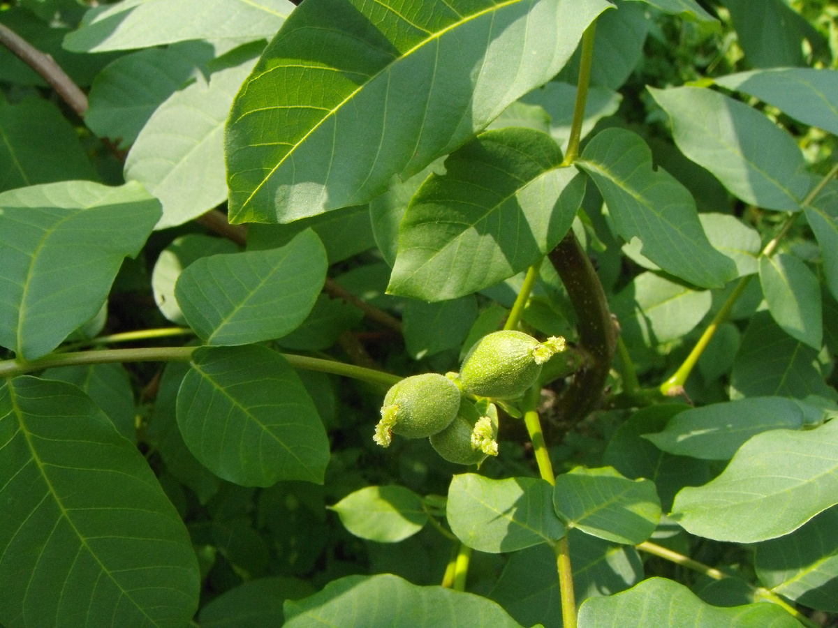 (фото личного архива)