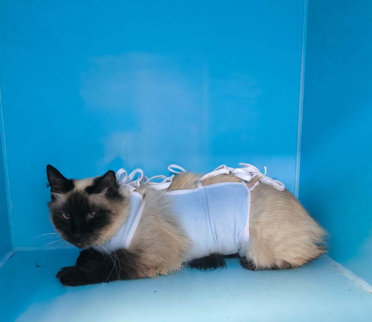 У неё нет ненависти к людям. Она просто очень осторожная