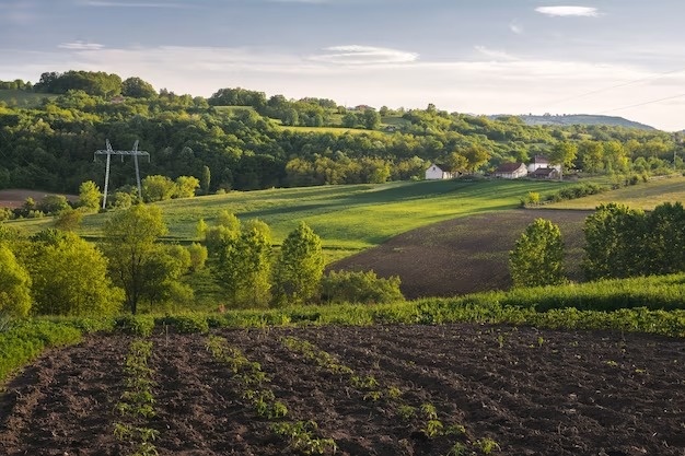    Фото: freepik.com/wirestock Илья Федоров