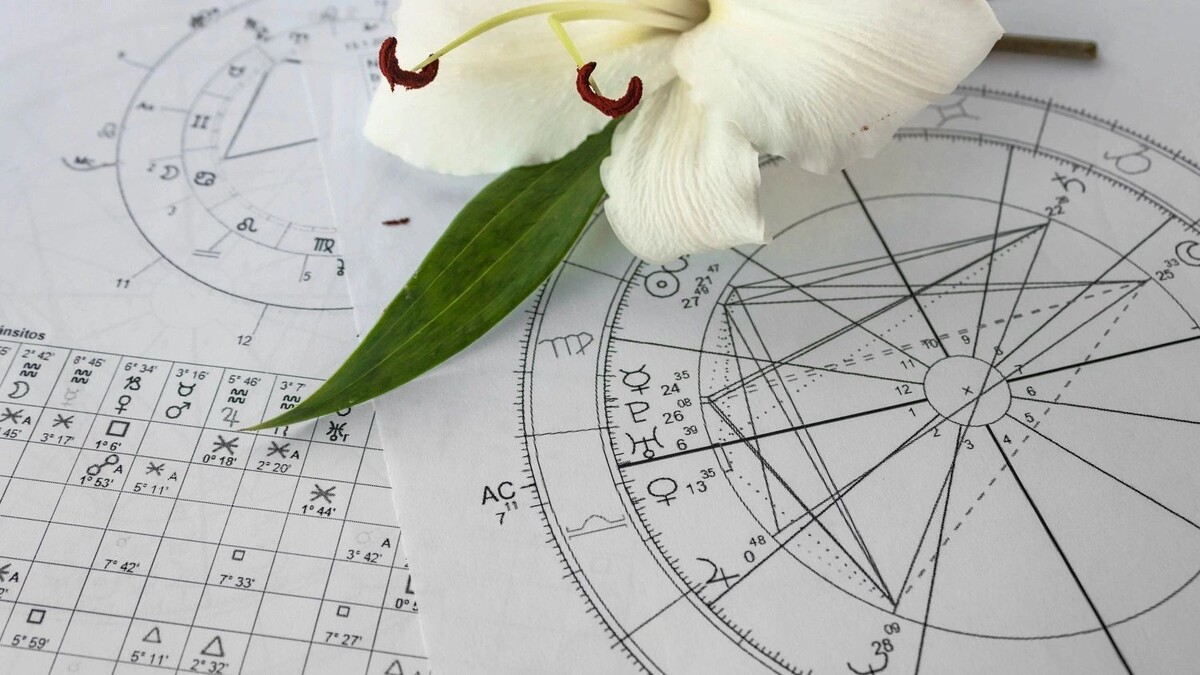    Фото: Bada1 / shutterstock.com / Fotodom