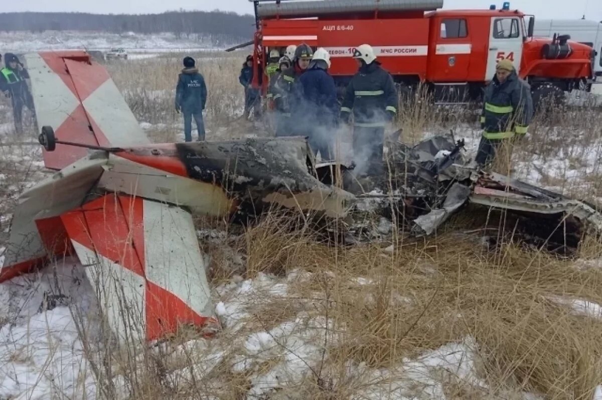    МАК выпустил отчет о крушении самолета Cetus в Кстовском районе