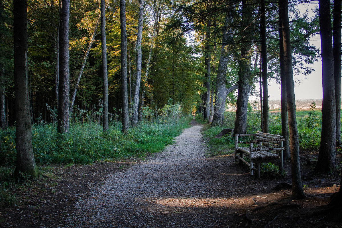    Любимая скамейка Льва Николаевича Толстого