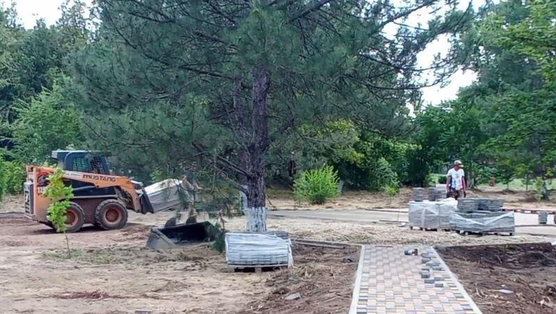      Фото: Соцсети главы Ипатовского округа Веры Шейкиной