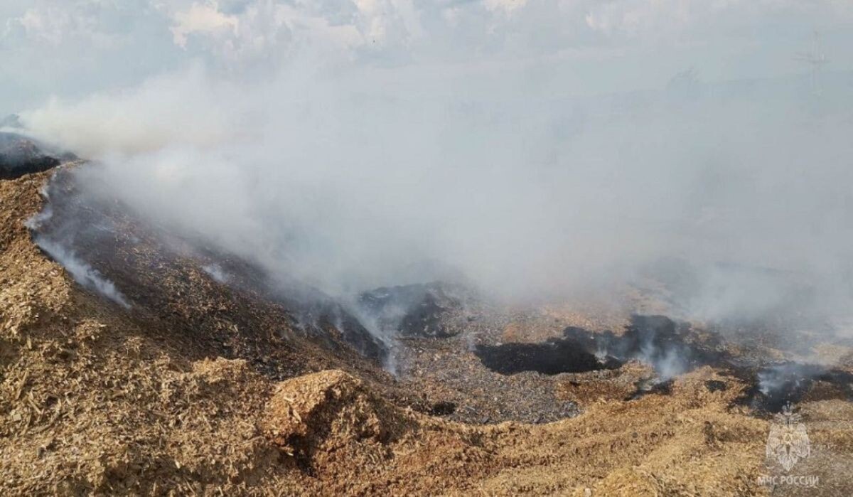     Горение свалки. Источник: rg.ru Автор фото: МЧС России