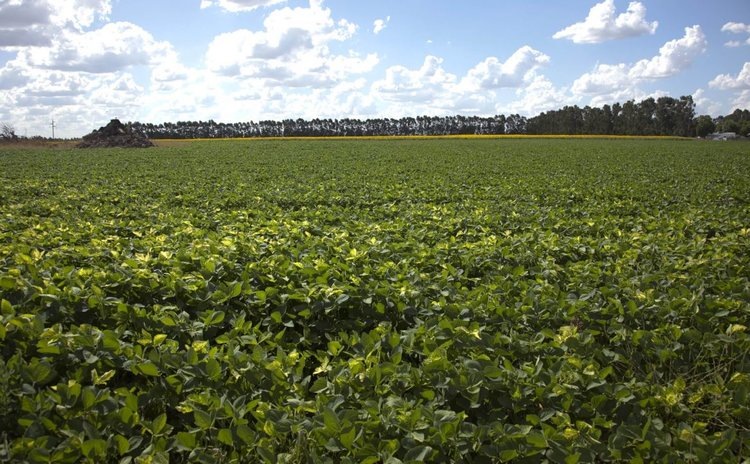    Фото: Правительство Аргентины