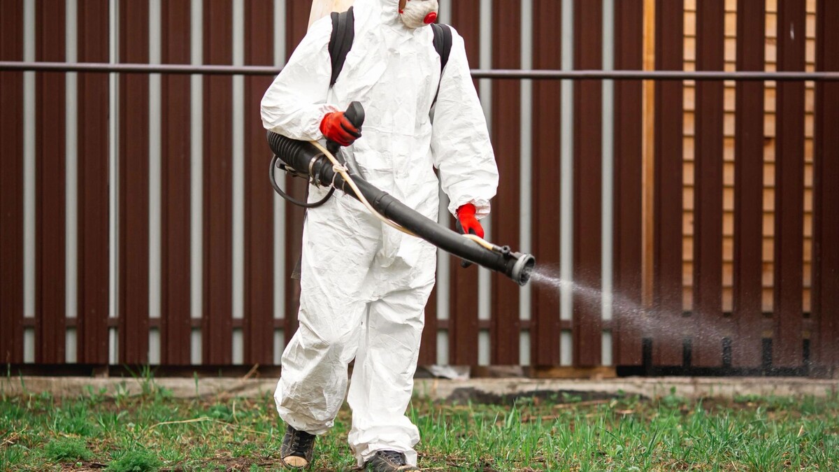    Фото: Parilov/Shutterstock/Fotodom