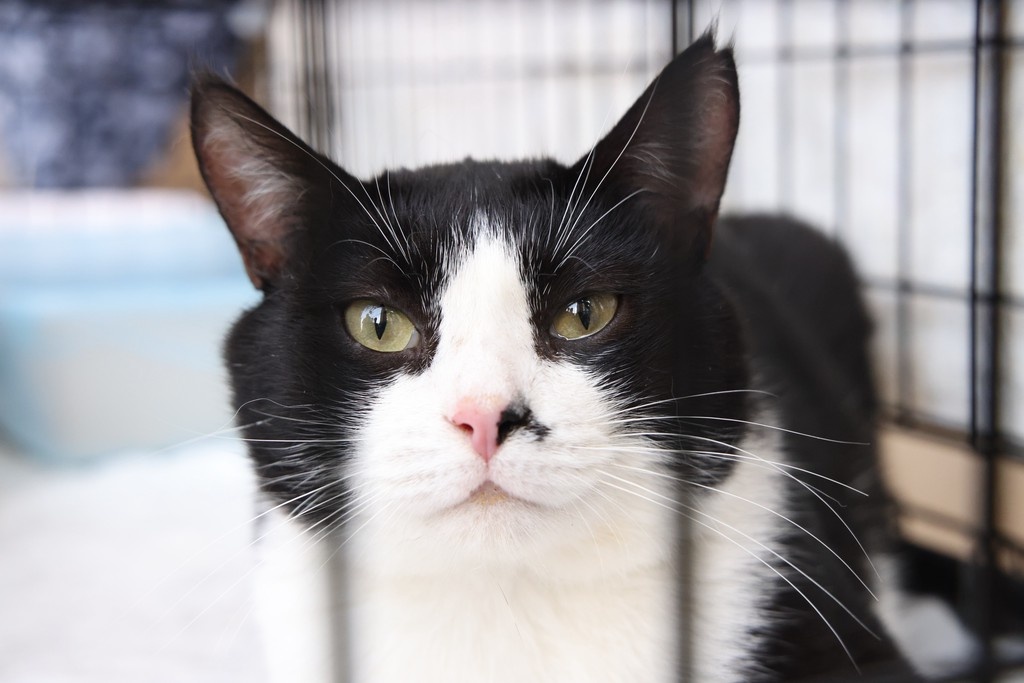    Фото © Анастасия Романова / Абзац