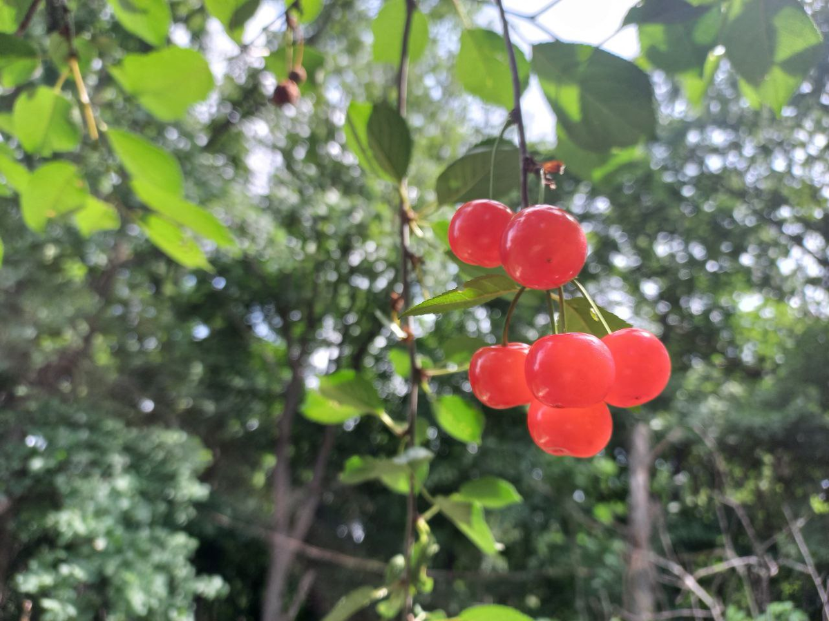 Фото автора.