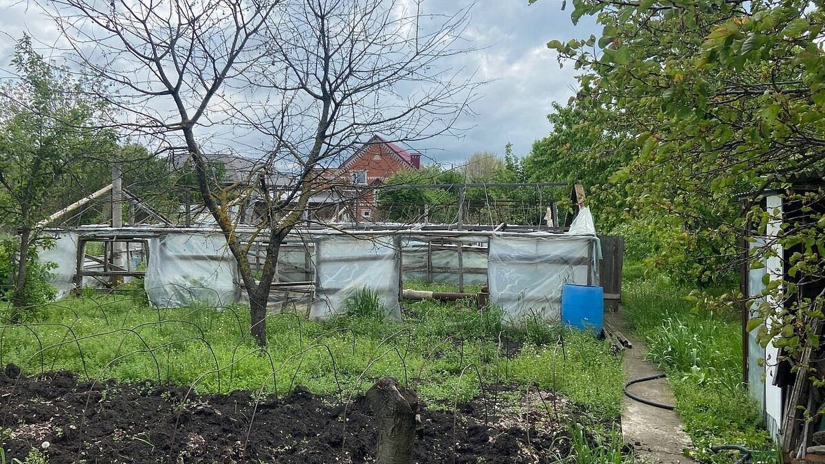    Фото: телеканал «Краснодар»