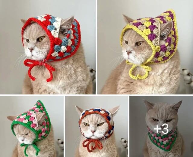 Кошки в косынках не кажутся счастливыми 🙈