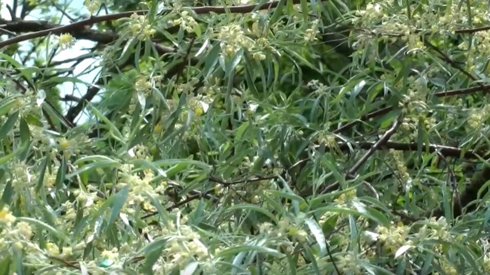 Фото: © Кадр из программы "Как устроен мир", РЕН Т