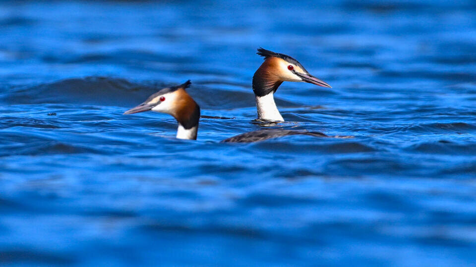 Фото: © Patrick Pleul/dpa/picture-alliance/TASS