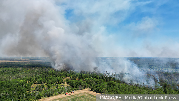     Фото: IMAGO/EHL Media/Global Look Press   
 Текст: Денис Тельманов